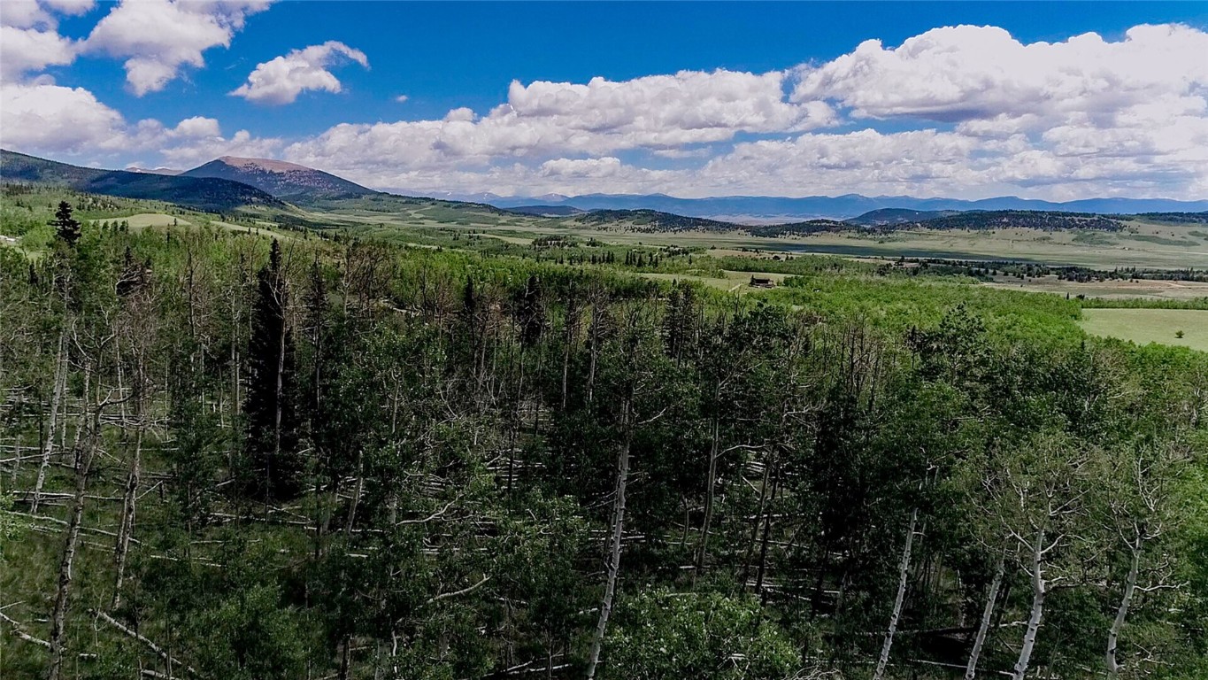 1047 Lumberjack Road Fairplay CO 80440