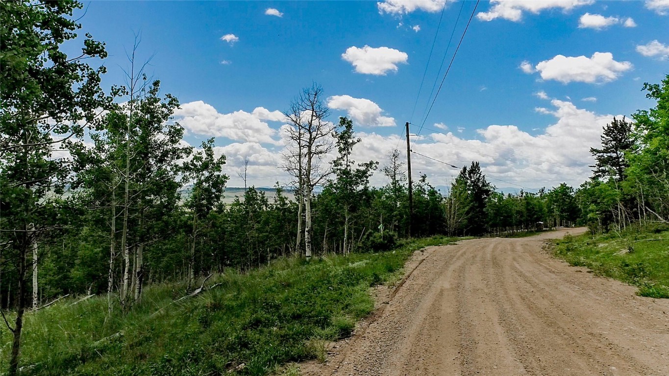 1047 Lumberjack Road Fairplay CO 80440