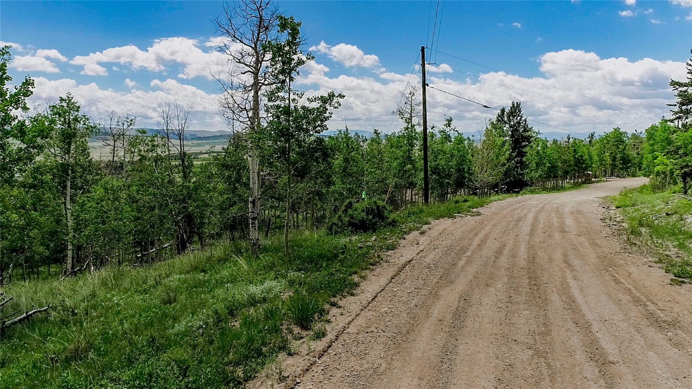 1047 Lumberjack Road Fairplay CO 80440