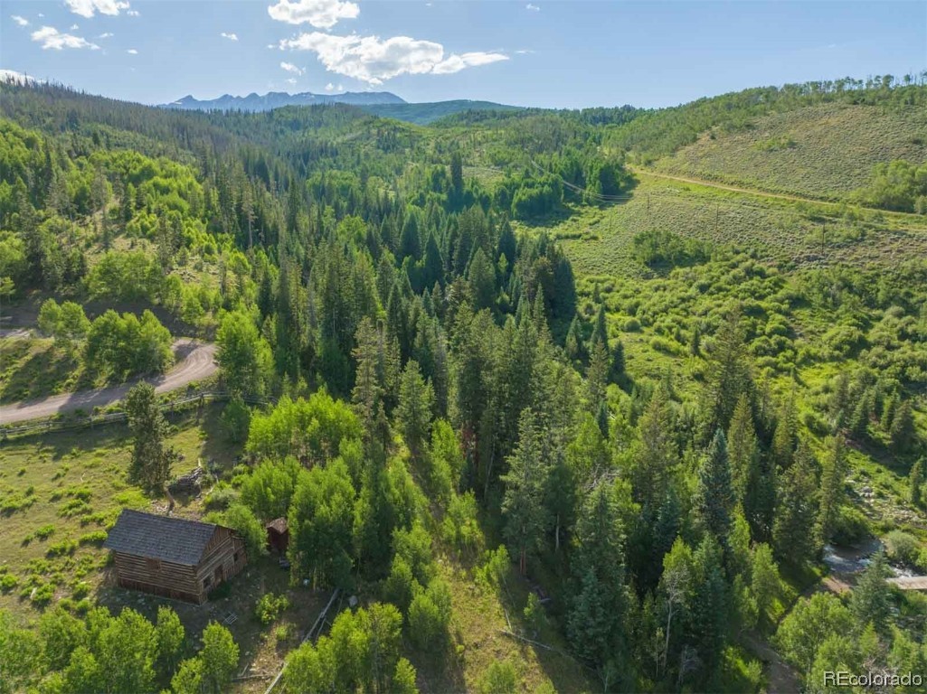 1800 Triple Creek Ranch Road Silverthorne CO 80498