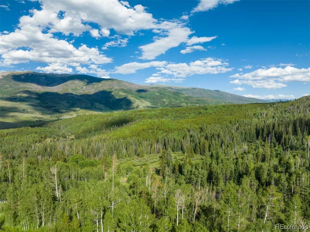1800 Triple Creek Ranch Road Silverthorne CO 80498
