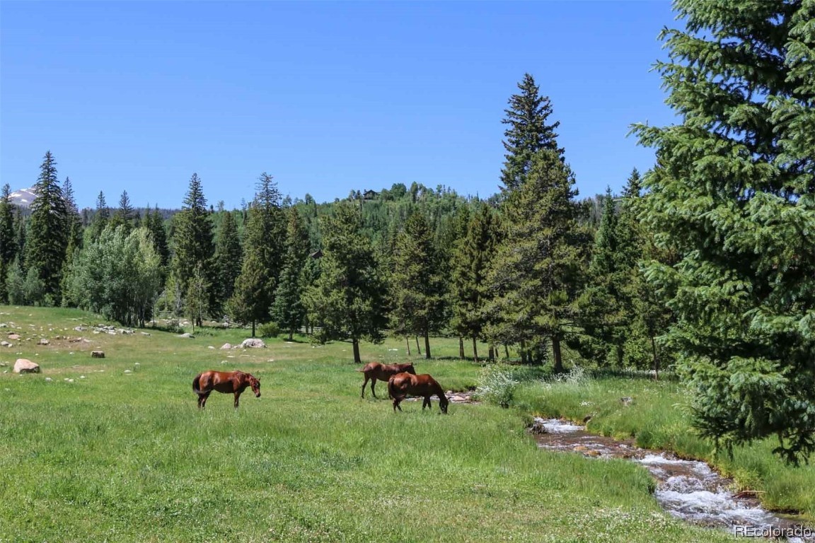 1800 Triple Creek Ranch Road Silverthorne CO 80498