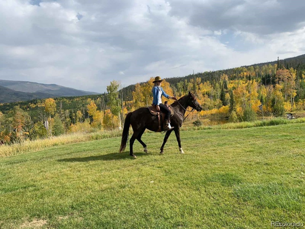 1800 Triple Creek Ranch Road Silverthorne CO 80498