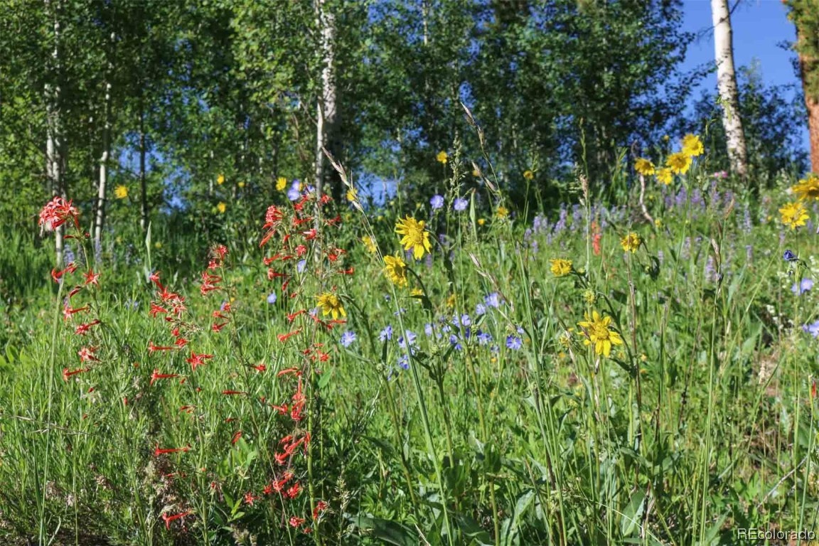 1800 Triple Creek Ranch Road Silverthorne CO 80498