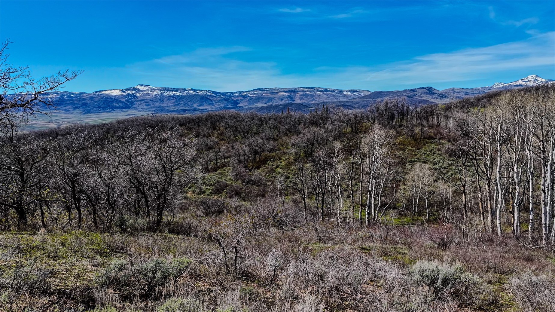 Tbd County Road 129 Steamboat Springs CO 80487