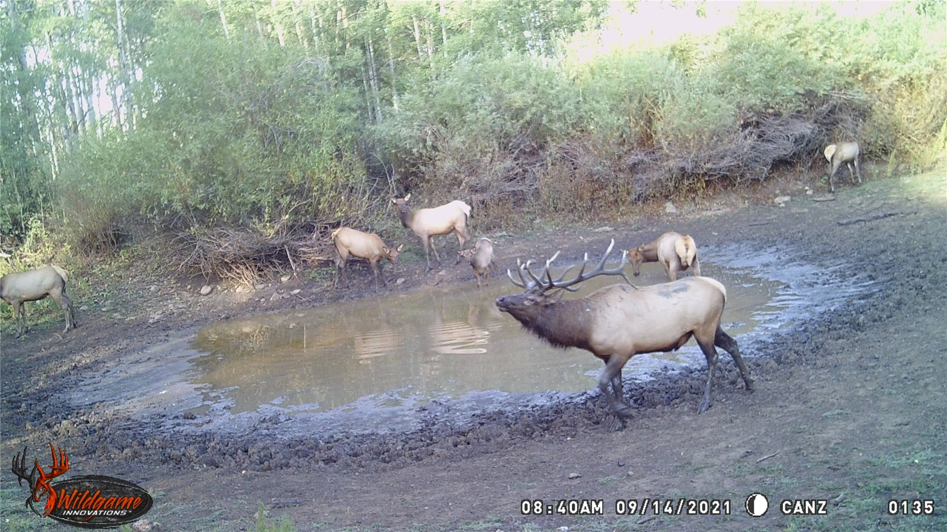 Tbd County Road 129 Steamboat Springs CO 80487