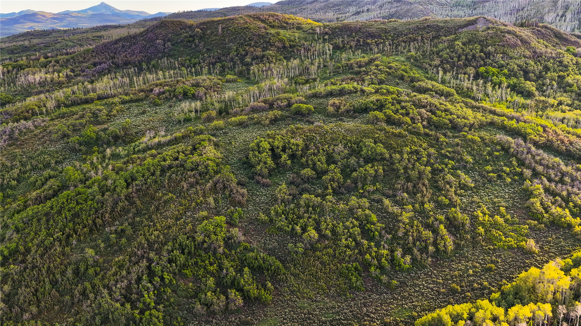 Tbd County Road 129 Steamboat Springs CO 80487