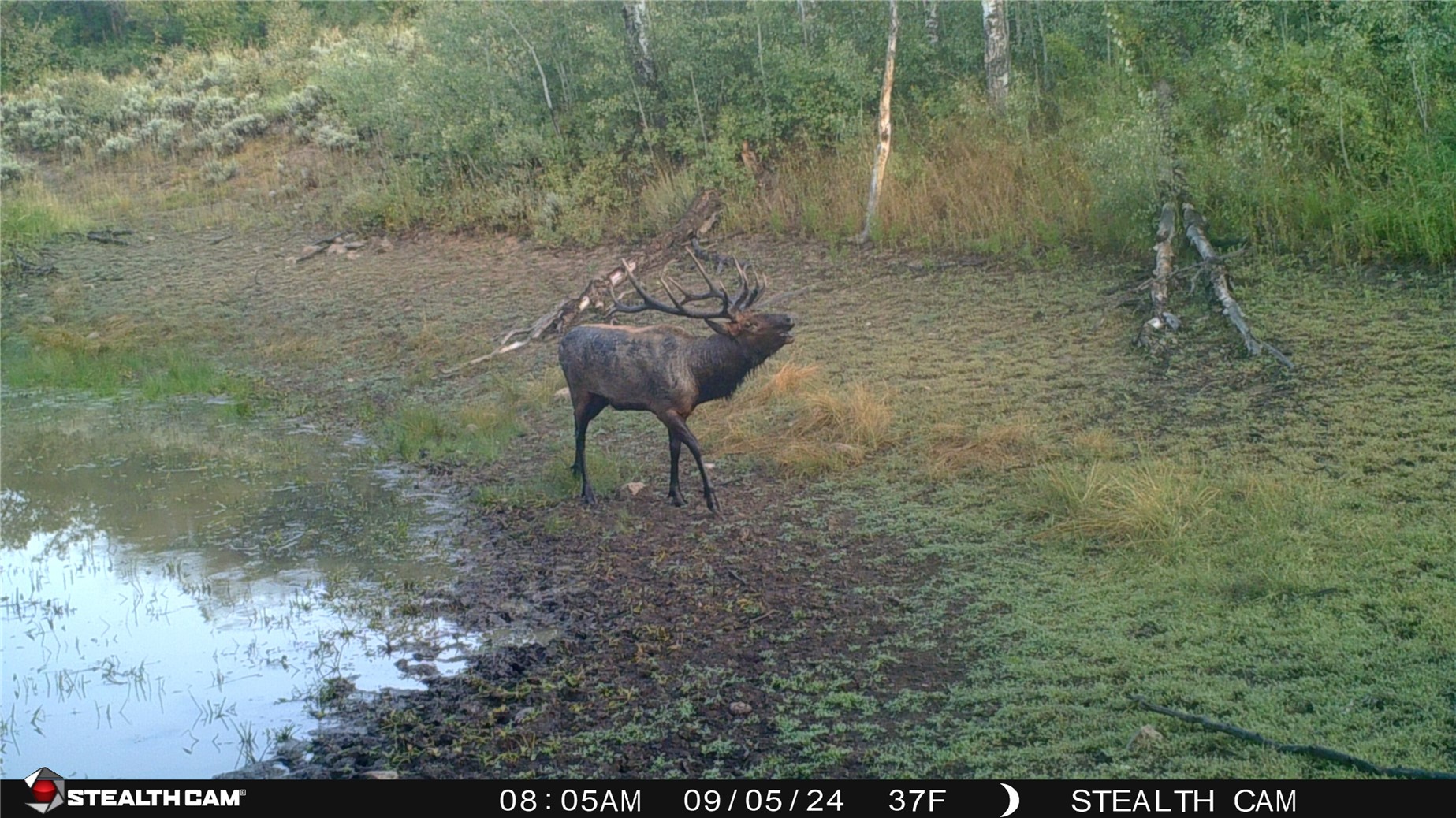 Tbd County Road 129 Steamboat Springs CO 80487