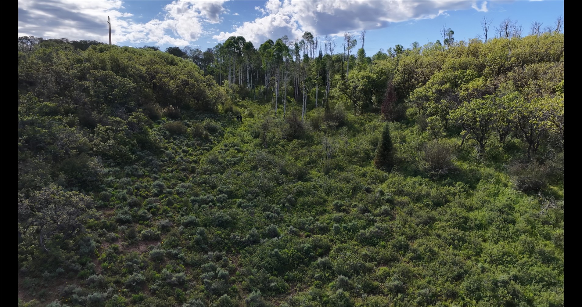 Tbd County Road 129 Steamboat Springs CO 80487