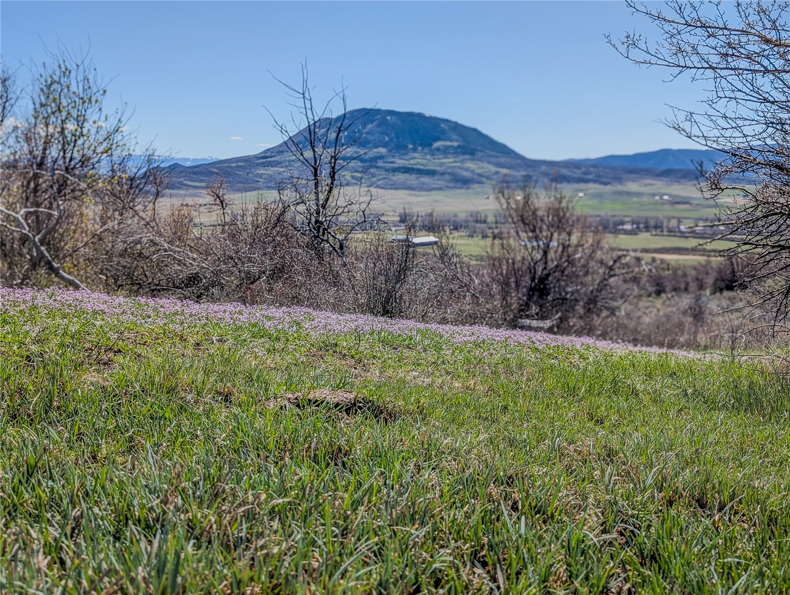 Tbd County Road 129 Steamboat Springs CO 80487
