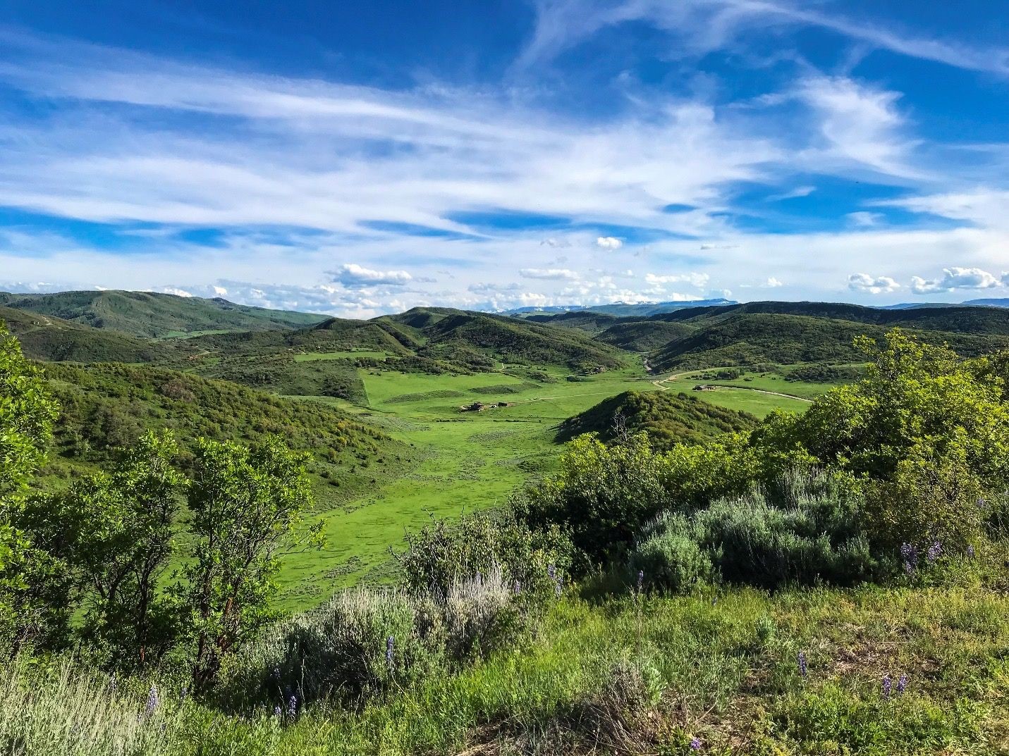 32080 Mack Lane Oak Creek CO 80467