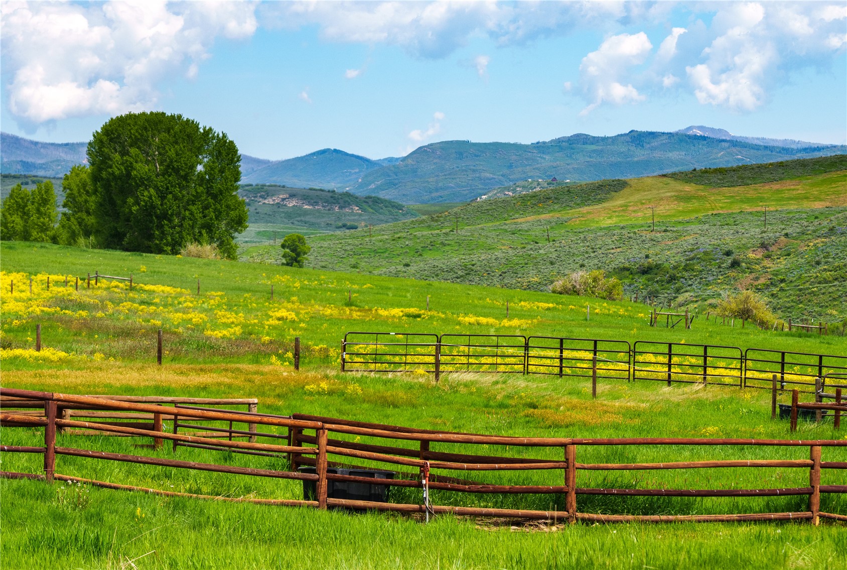 32080 Mack Lane Oak Creek CO 80467