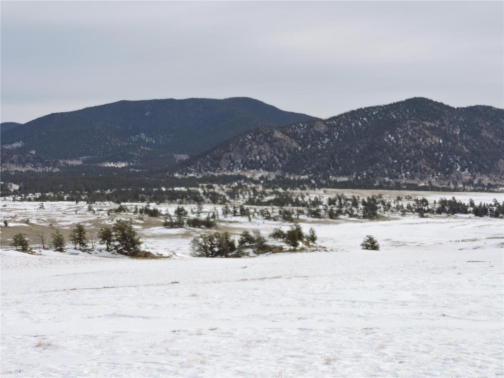 2418 Goldenburg Canyon Road Hartsel CO 80449