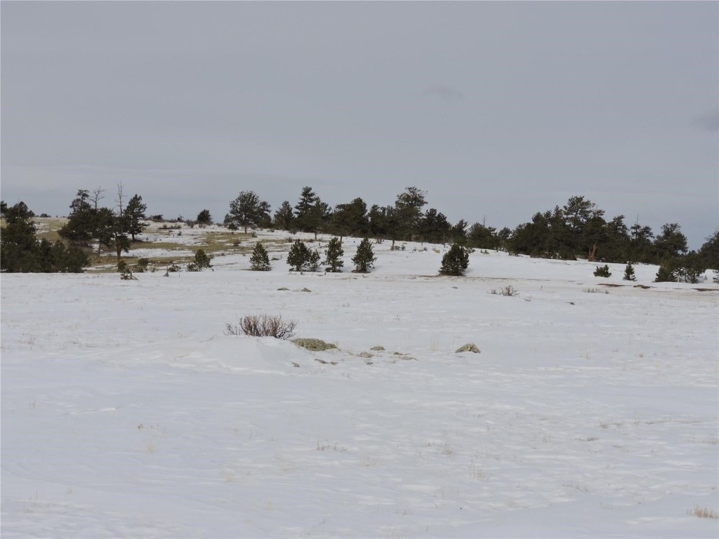 2418 Goldenburg Canyon Road Hartsel CO 80449