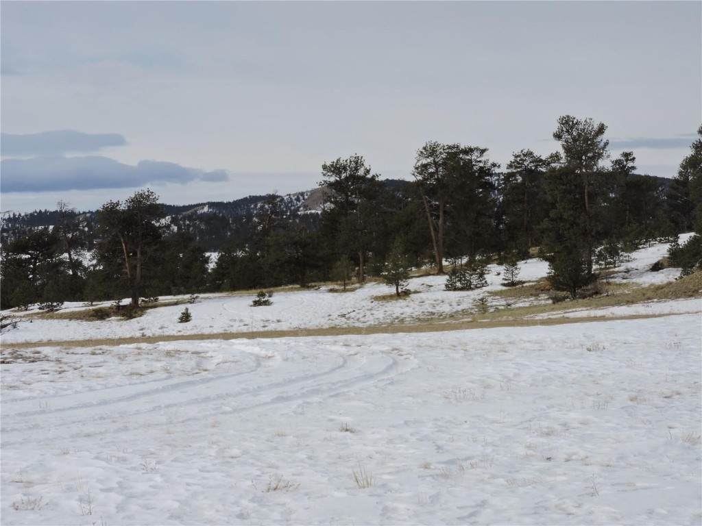 2418 Goldenburg Canyon Road Hartsel CO 80449