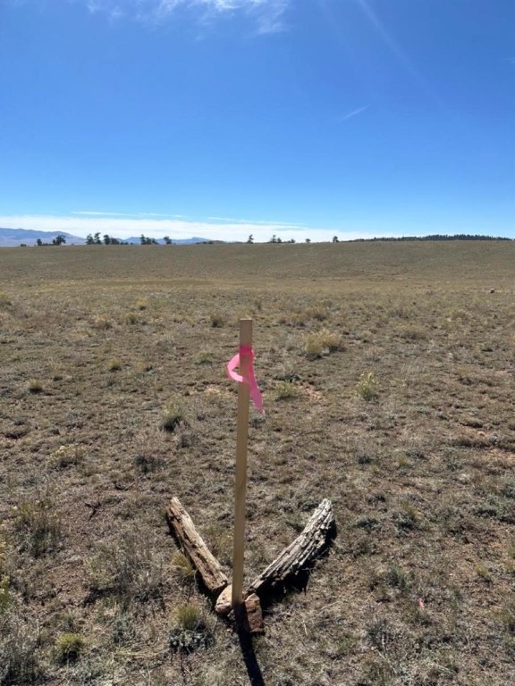 2418 Goldenburg Canyon Road Hartsel CO 80449