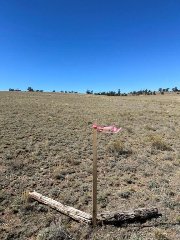 2418 Goldenburg Canyon Road Hartsel CO 80449