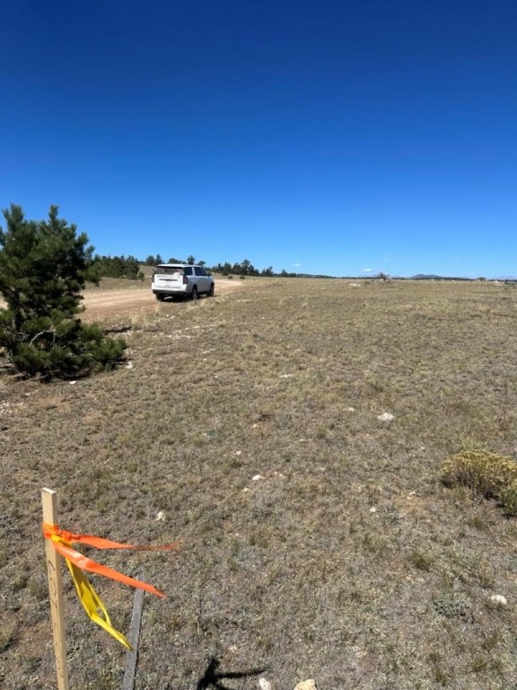 2418 Goldenburg Canyon Road Hartsel CO 80449