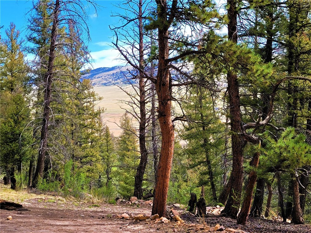198 Middle Fork Vista Fairplay CO 80440