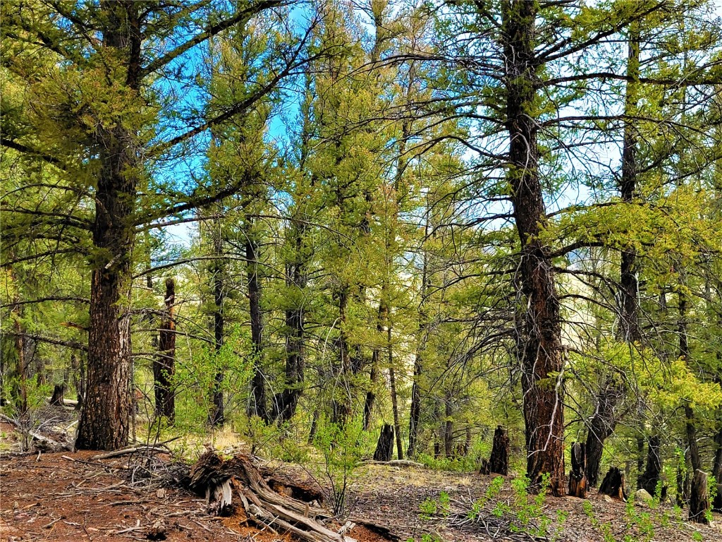 198 Middle Fork Vista Fairplay CO 80440