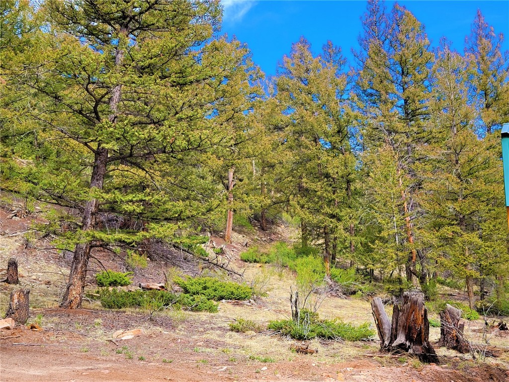 198 Middle Fork Vista Fairplay CO 80440