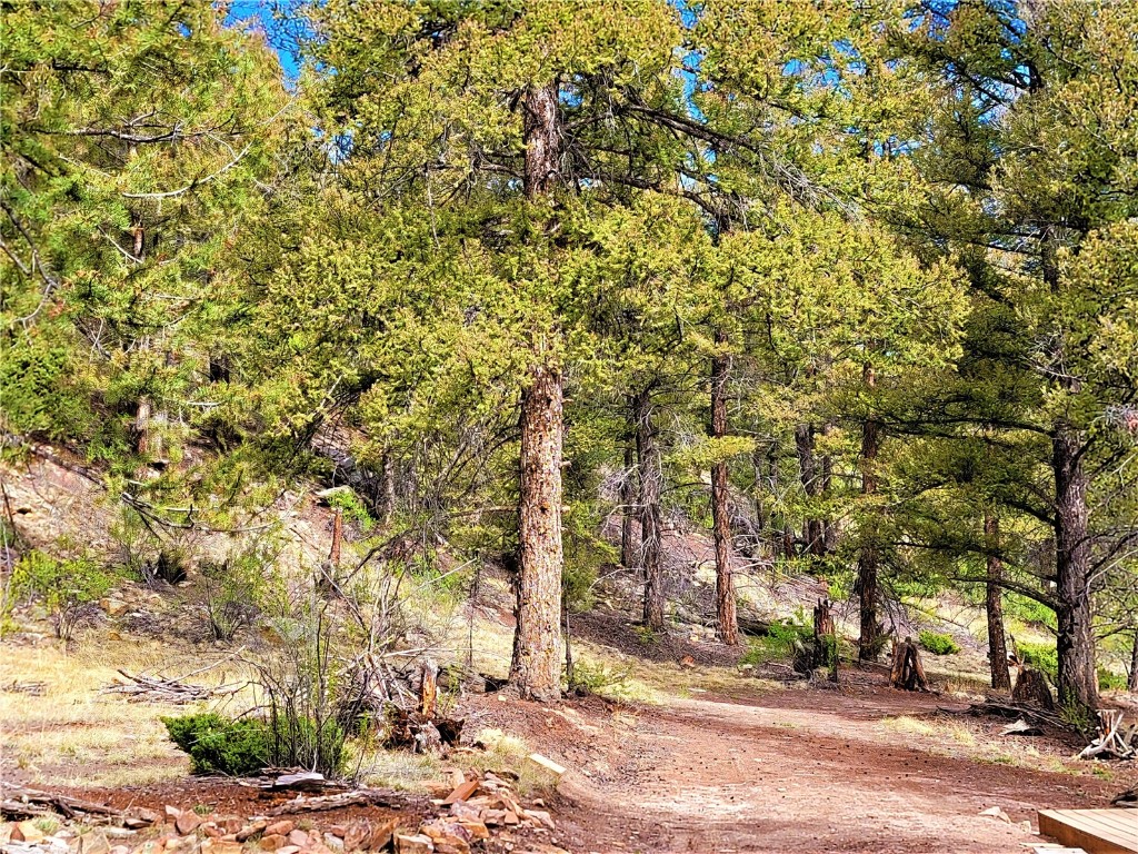 198 Middle Fork Vista Fairplay CO 80440