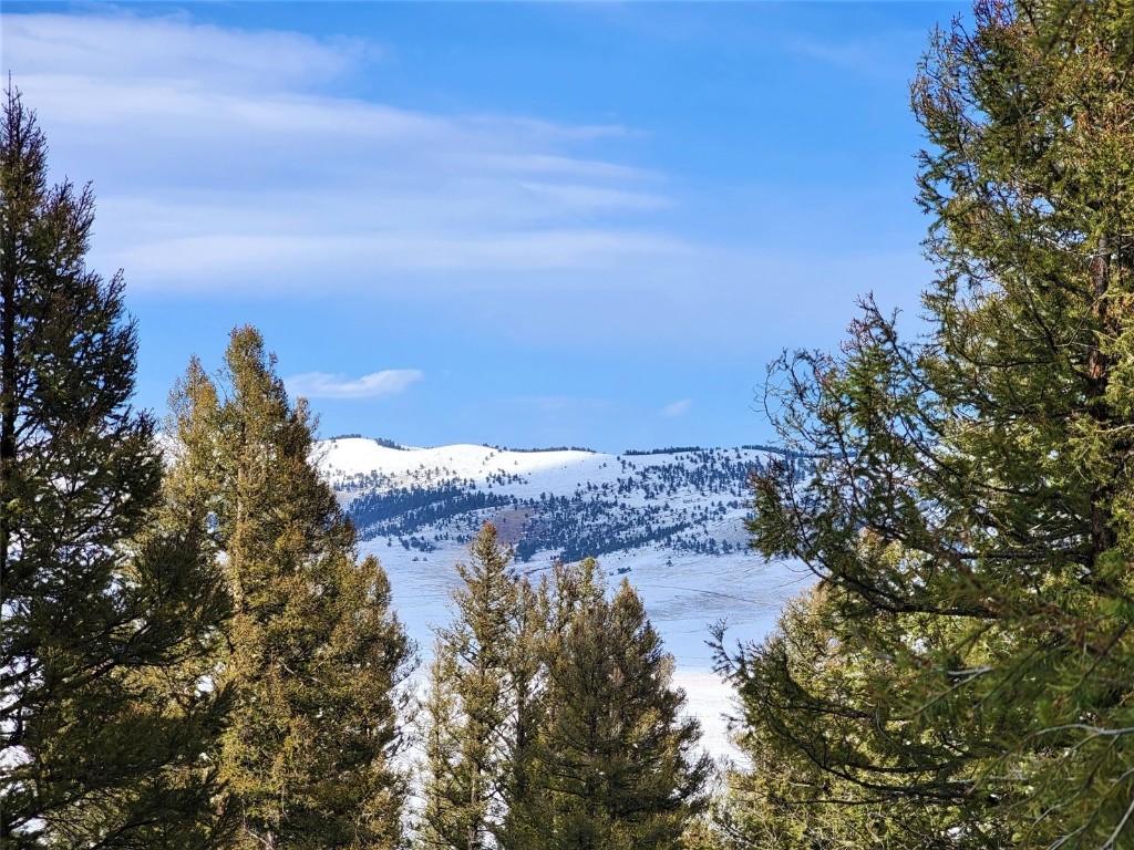 198 Middle Fork Vista Fairplay CO 80440