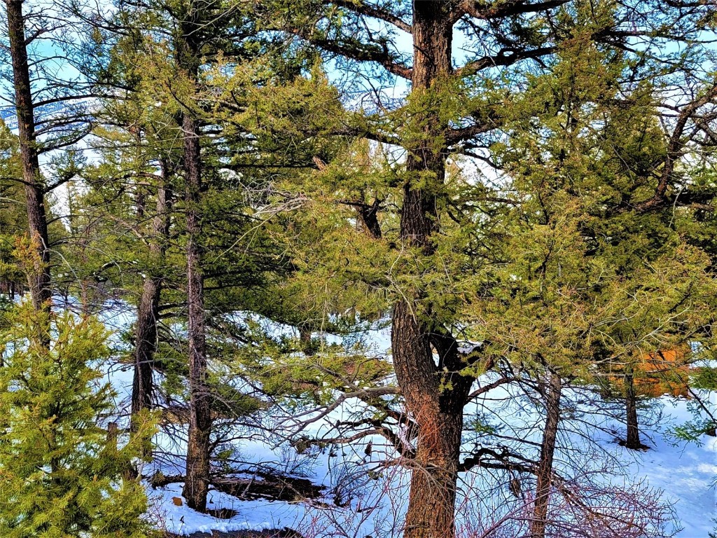 198 Middle Fork Vista Fairplay CO 80440
