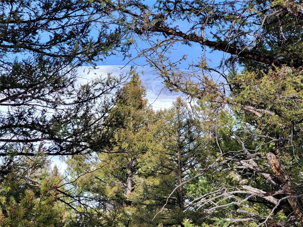 198 Middle Fork Vista Fairplay CO 80440