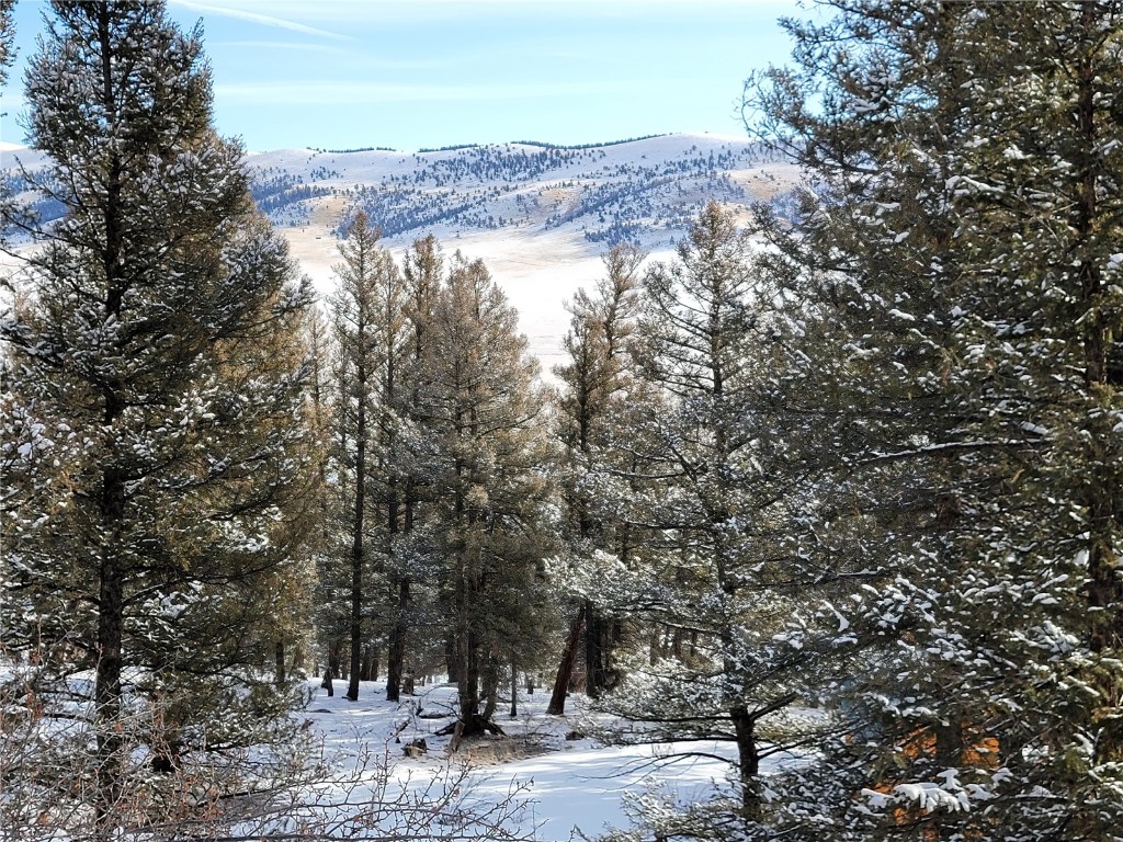 198 Middle Fork Vista Fairplay CO 80440