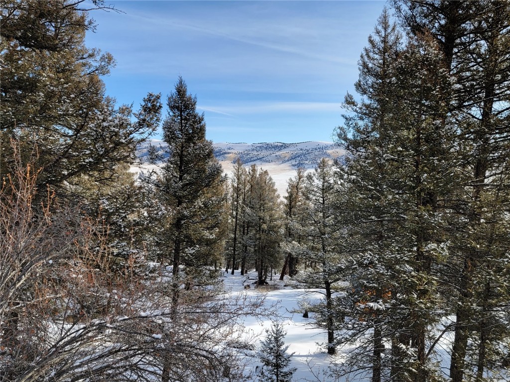 198 Middle Fork Vista Fairplay CO 80440