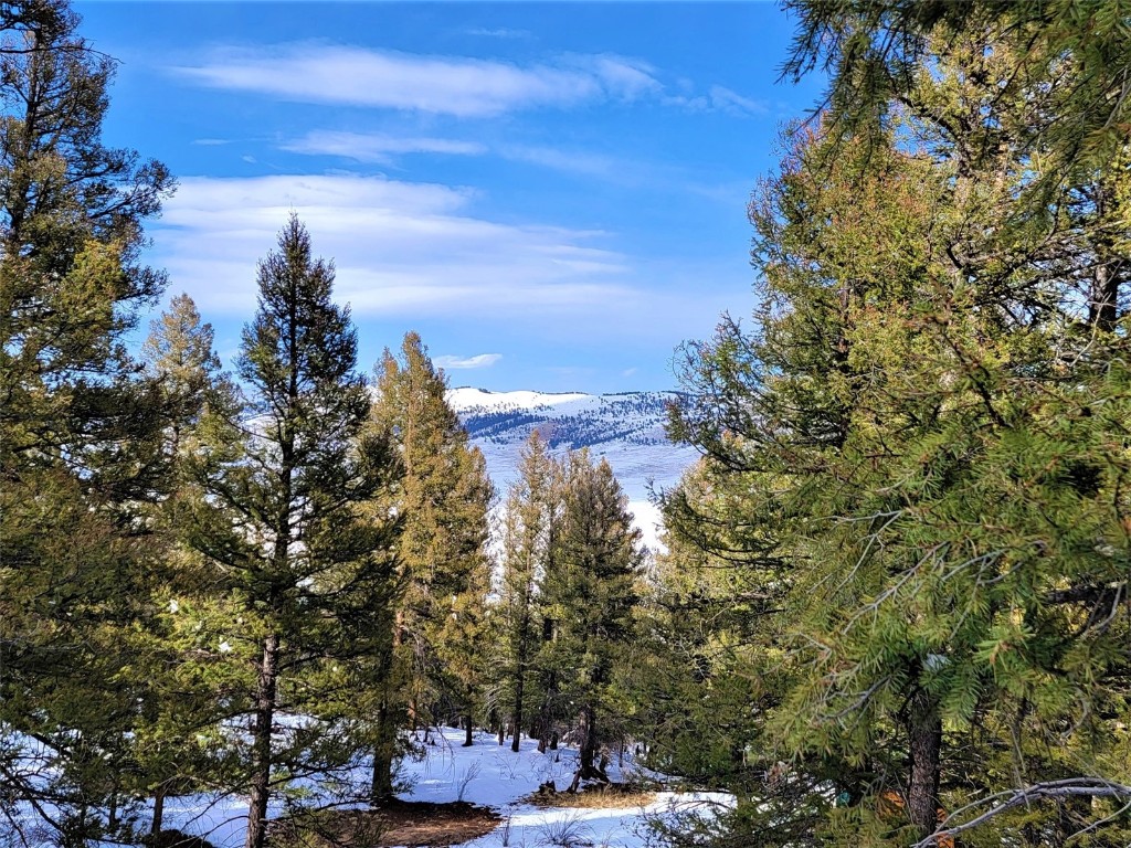 198 Middle Fork Vista Fairplay CO 80440