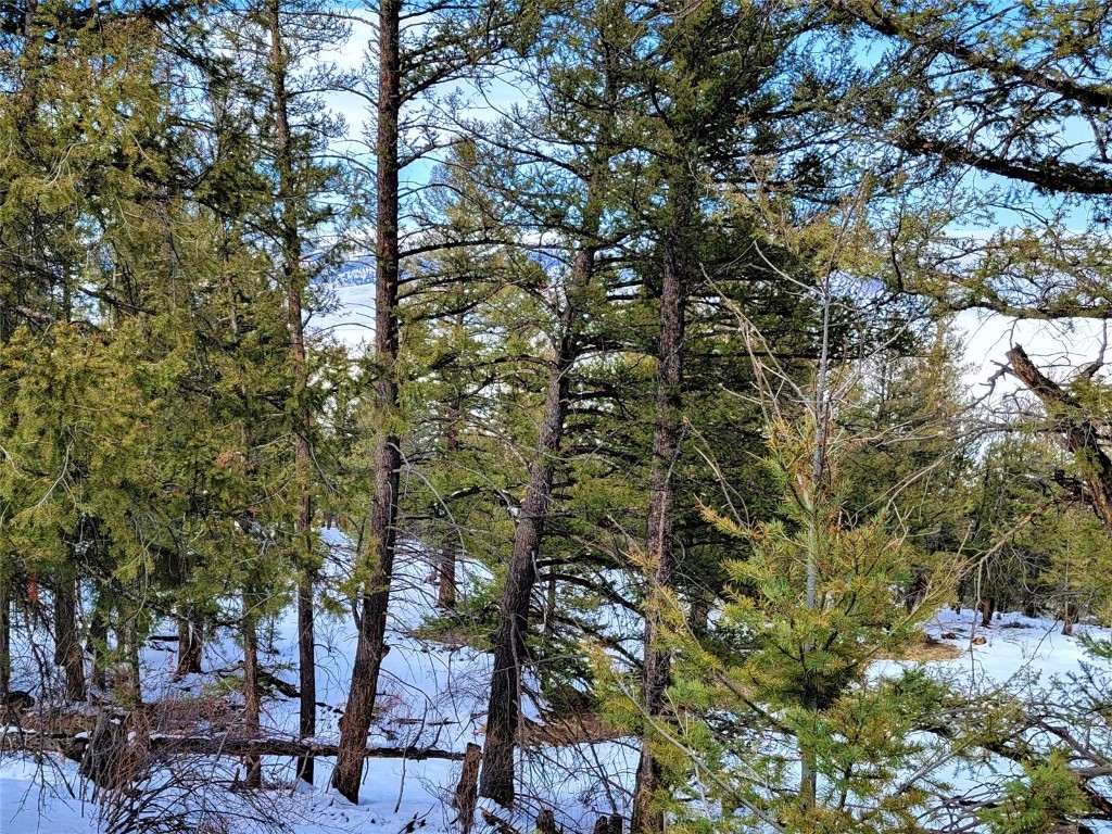 198 Middle Fork Vista Fairplay CO 80440