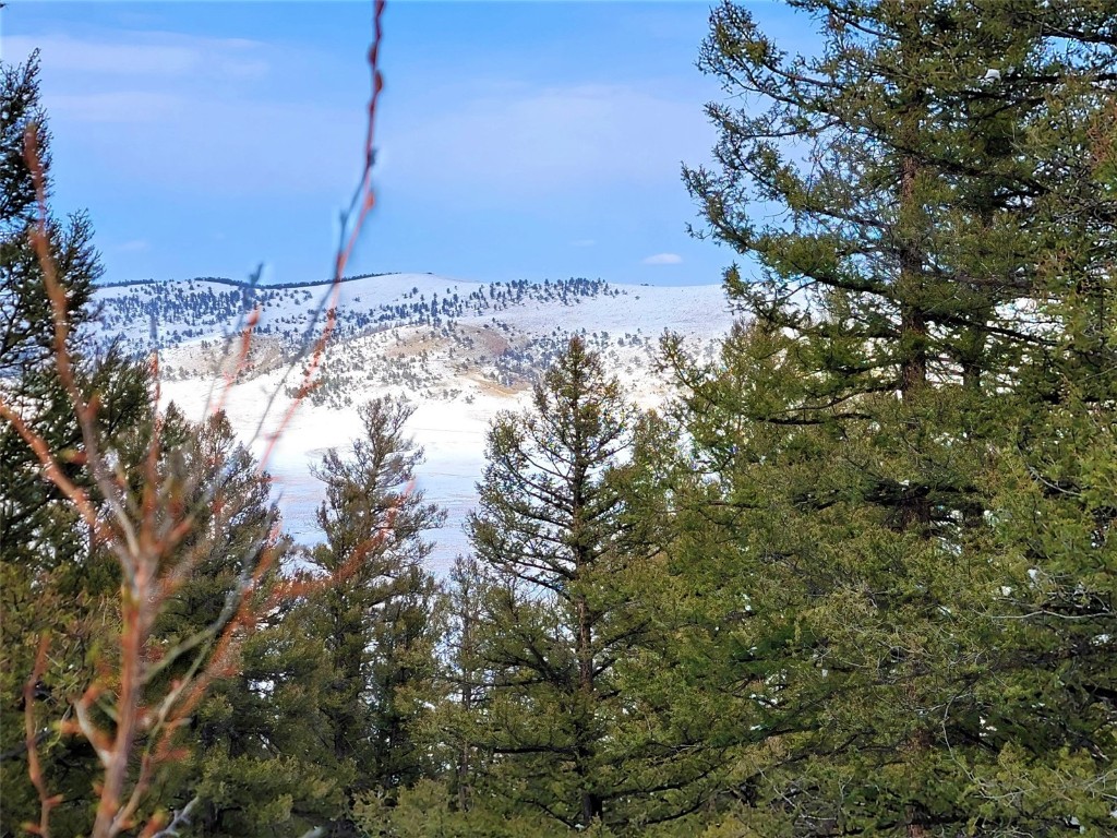 198 Middle Fork Vista Fairplay CO 80440