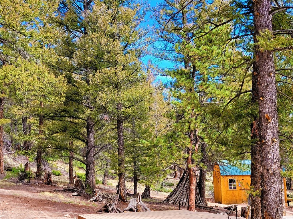 198 Middle Fork Vista Fairplay CO 80440