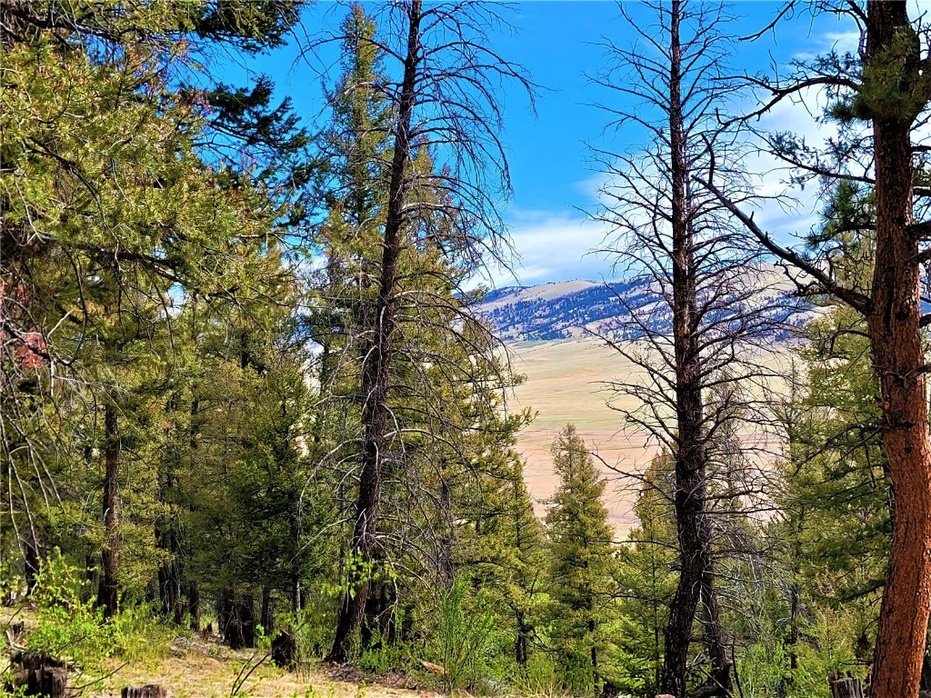 198 Middle Fork Vista Fairplay CO 80440