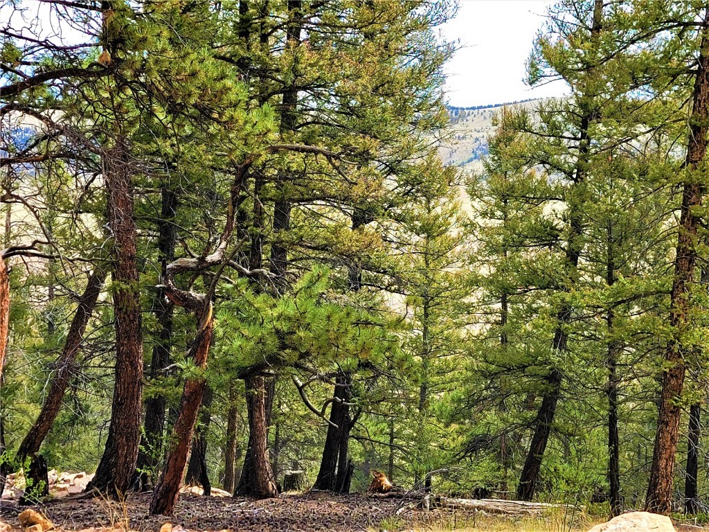 198 Middle Fork Vista Fairplay CO 80440
