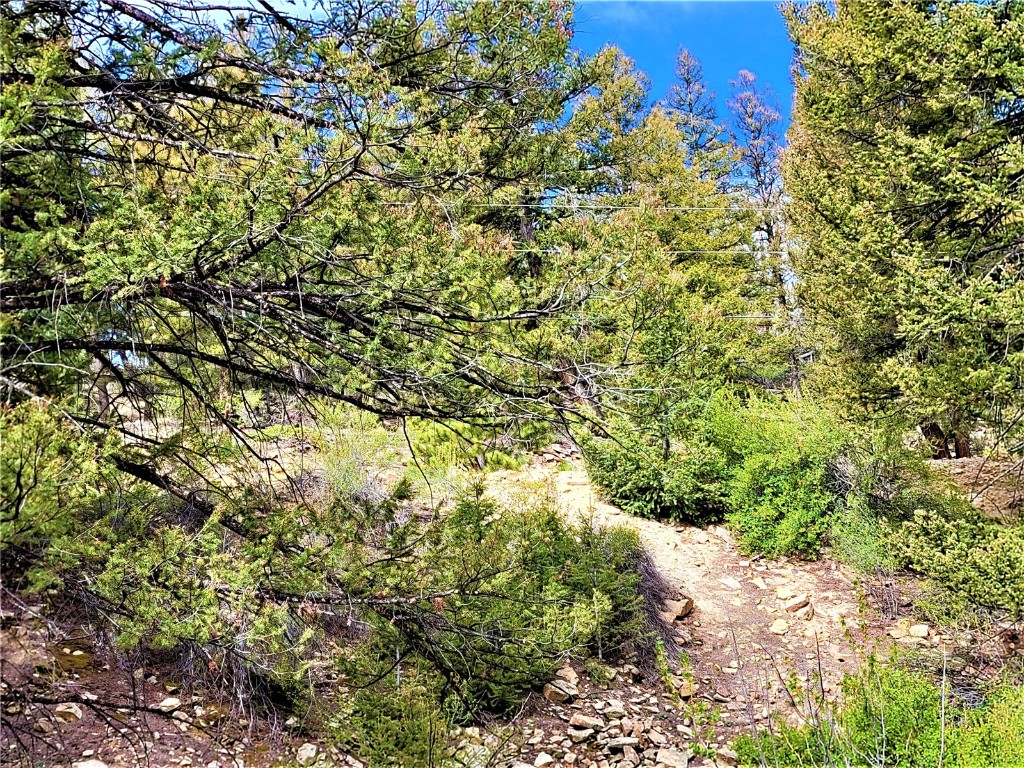 198 Middle Fork Vista Fairplay CO 80440