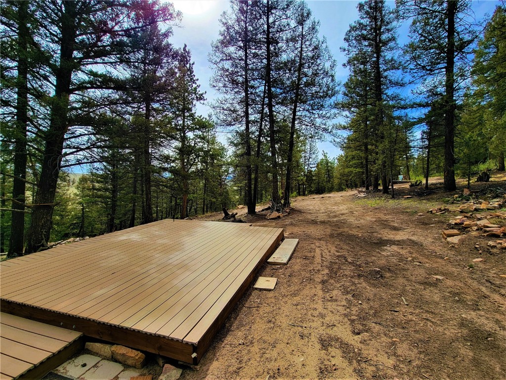 198 Middle Fork Vista Fairplay CO 80440