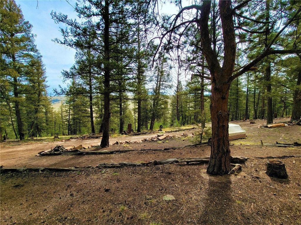 198 Middle Fork Vista Fairplay CO 80440