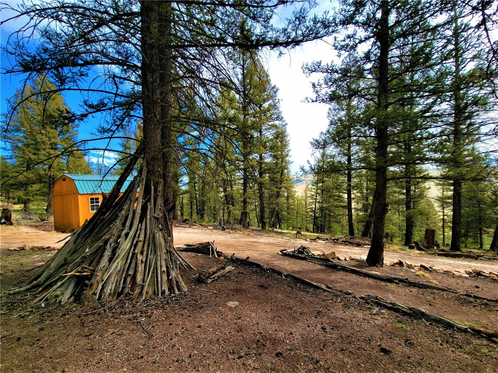 198 Middle Fork Vista Fairplay CO 80440