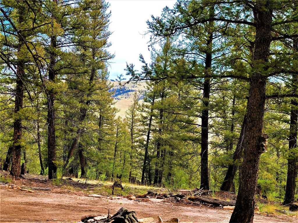198 Middle Fork Vista Fairplay CO 80440
