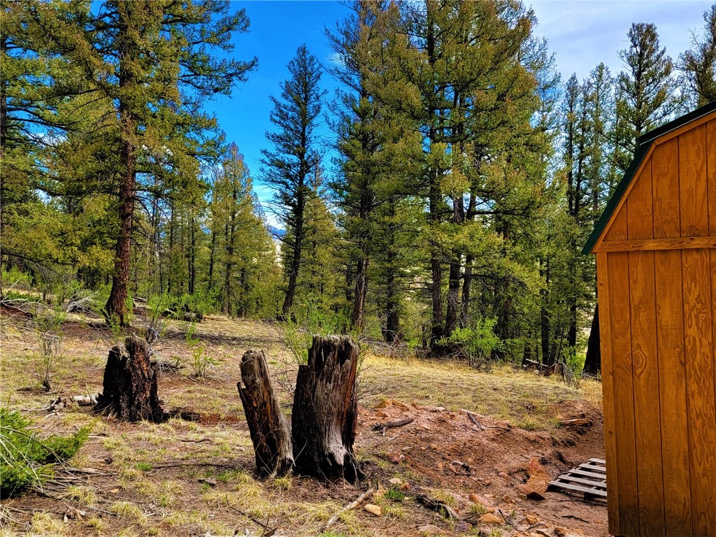198 Middle Fork Vista Fairplay CO 80440