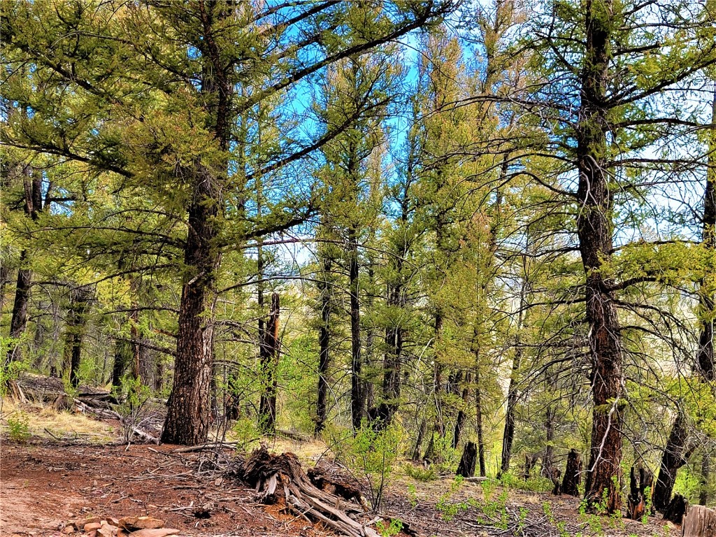 198 Middle Fork Vista Fairplay CO 80440