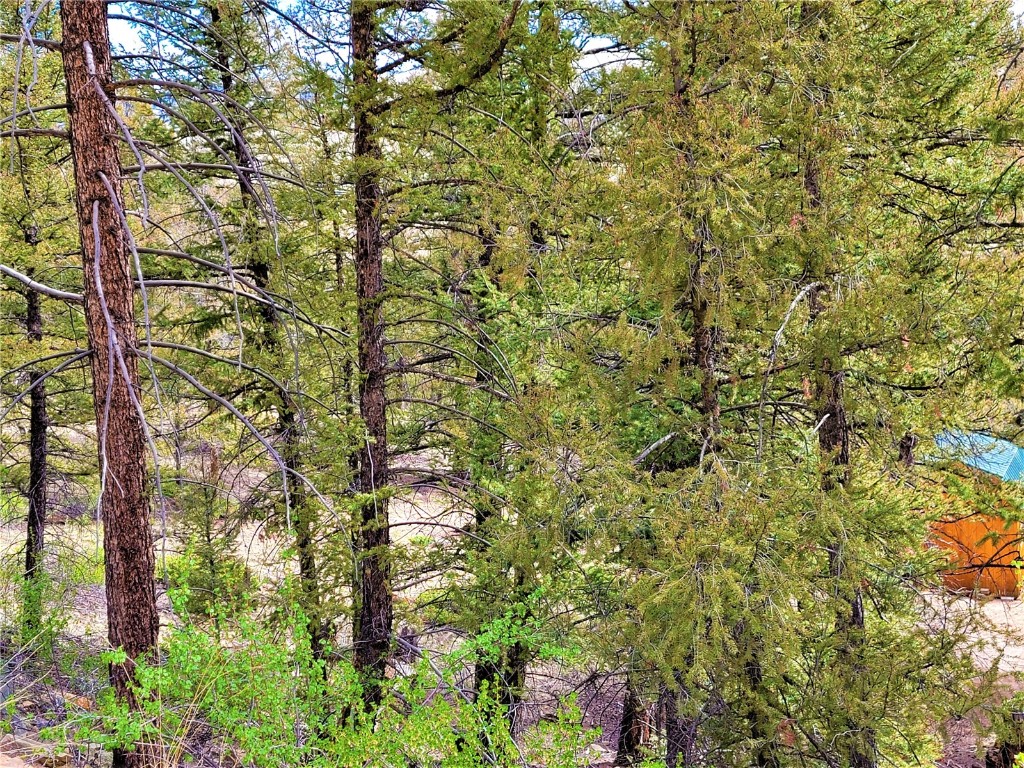 198 Middle Fork Vista Fairplay CO 80440