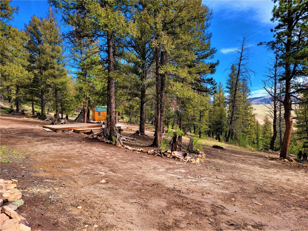 198 Middle Fork Vista Fairplay CO 80440