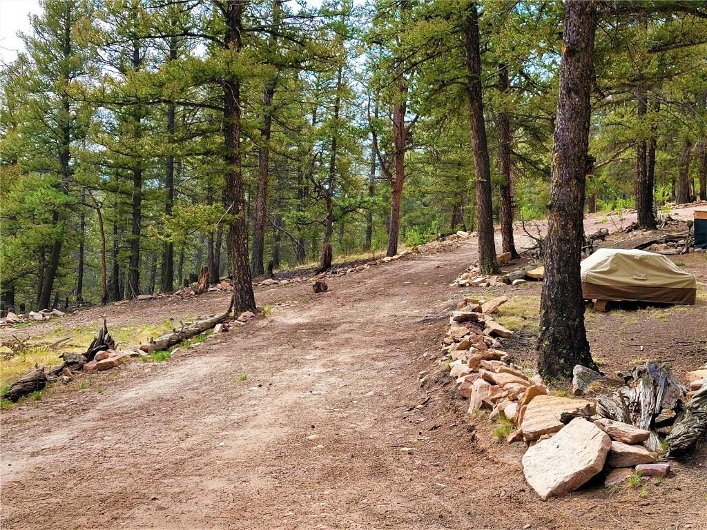 198 Middle Fork Vista Fairplay CO 80440