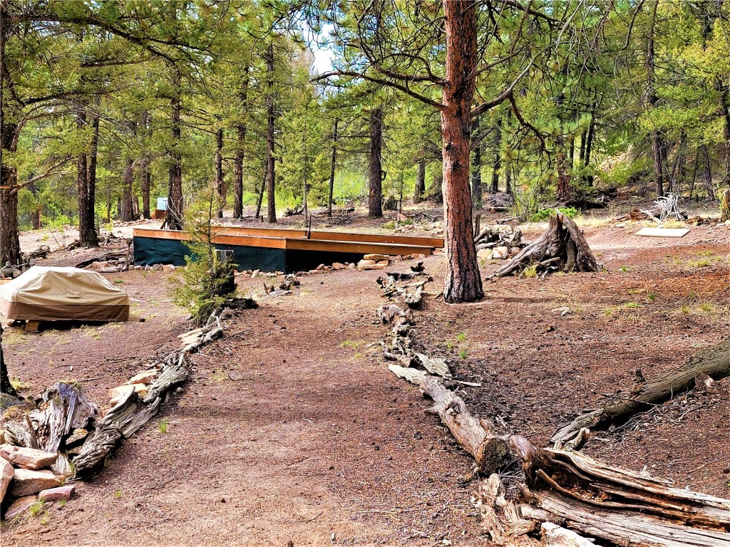 198 Middle Fork Vista Fairplay CO 80440
