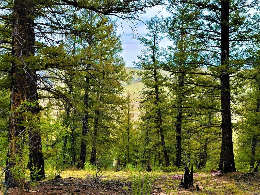 198 Middle Fork Vista Fairplay CO 80440