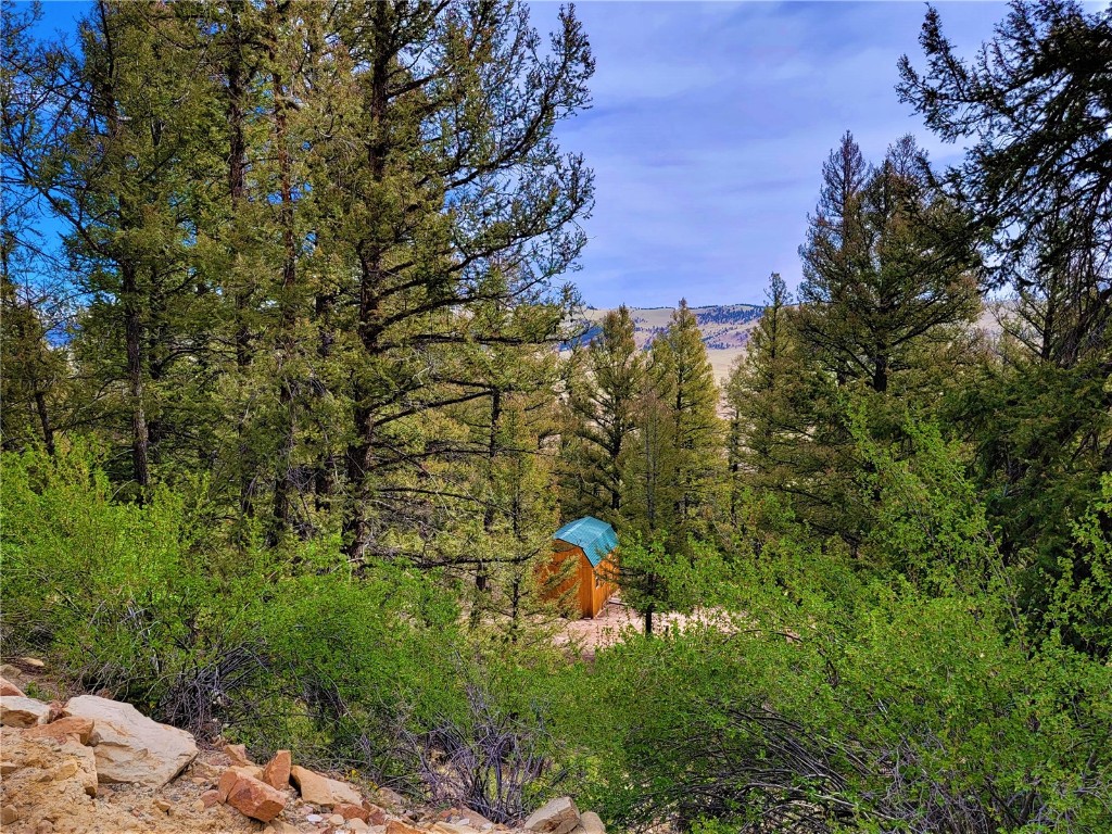 198 Middle Fork Vista Fairplay CO 80440